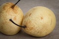 Two asian pears on burlap Royalty Free Stock Photo