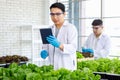 Two Asian professional male scientists researchers in white lab coat standing smiling holding fresh raw organic green leaf salad Royalty Free Stock Photo