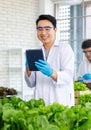 Two Asian professional male scientists researchers in white lab coat standing smiling holding fresh raw organic green leaf salad Royalty Free Stock Photo