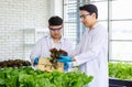 Two Asian professional male scientists researchers in white lab coat standing smiling holding fresh raw organic green leaf salad Royalty Free Stock Photo