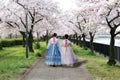 Two Asian woman wearing Korean national dress walking in park an