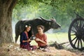 Two Asian woman wearing traditional thai Esan custom style culture sitting in field Royalty Free Stock Photo