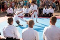 Two athletes perform karate moves in a white kimono.