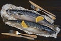 Two atlantic mackerel fishes ready for cooking decorated with spices, salt, lemon slices, knife and fork on the black wooden table