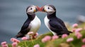 Two Atlantic puffins (Fratercula arctica) sitting on green grass with pink flowers. AI Generative