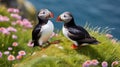 Two Atlantic puffins (Fratercula arctica) sitting on green grass with pink flowers. AI Generative