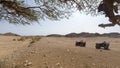 Two ATVs in the desert on a background of hills and mountains on a sunny hot day Royalty Free Stock Photo