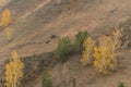 Two ATVs in the mountain