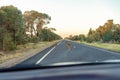 Kangaroos On An Australian Highway