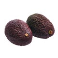 Two avocados fruit isolated over white background Royalty Free Stock Photo