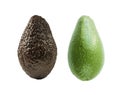 Two avocados isolated. Isolated avocado. Cut avocado fruit isolated on white background. Avocado with copy space for text Royalty Free Stock Photo