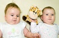 Two babies Royalty Free Stock Photo