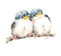 Two Baby Birds Sitting on the Branch Siblings Twins Family Watercolor Hand Painted Illustration