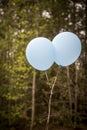 Two baby blue balloons with a green background Royalty Free Stock Photo