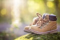 Baby boot forest Royalty Free Stock Photo