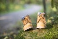 Baby boot forest Royalty Free Stock Photo