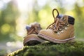 Baby boot forest Royalty Free Stock Photo