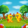 Two baby chicken playing In the green field under the beautiful blue sky