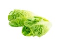 Two baby cos lettuce salad heads Royalty Free Stock Photo