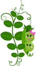 Two baby pods in a green pod and leaves Royalty Free Stock Photo