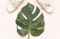 Two baby shoes and green tropical monstera leaf over pink background in flatlay style with space for your text Royalty Free Stock Photo