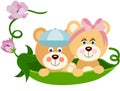 Two baby teddy bears pods in a green pod and flowers Royalty Free Stock Photo