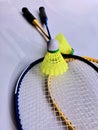 Two Badminton bats and balls Royalty Free Stock Photo