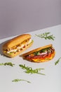 two baguette sandwiches with chicken salami salad on grey hard shadow Royalty Free Stock Photo