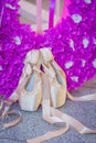 Two Ballet Shoes On Pink Decoration