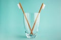 Two bamboo toothbrushes in a glass Royalty Free Stock Photo