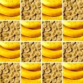 Two banana textures inside square shapes