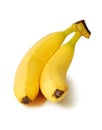 Two bananas Royalty Free Stock Photo