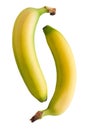 Two bananas Royalty Free Stock Photo