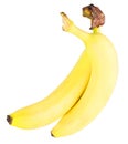 Two bananas Royalty Free Stock Photo