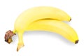 Two bananas Royalty Free Stock Photo