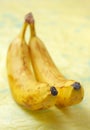 Two bananas Royalty Free Stock Photo