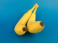 two bananas on a blue background