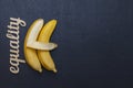 Two bananas on a chalkboard. Word from plywood-EQUALITY One banana embraces the other. Free space for text