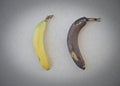 Two bananas Royalty Free Stock Photo