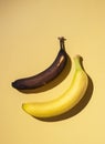 Two bananas, fresh and ugly, on a yellow background with a hard shadow. Concept photo Royalty Free Stock Photo