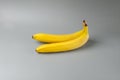 Two bananas on a gray background. Trending color of year 2021 Illuminating and Ultimate gray. Side view minimal still life
