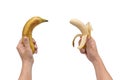 Two bananas in the hands. Isolated white background Royalty Free Stock Photo