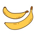 Two bananas. Healthy yellow sweet fruit. Vector