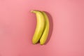 Two bananas isolated on a pink background