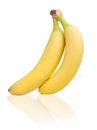 Two bananas Royalty Free Stock Photo