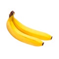 Two bananas Royalty Free Stock Photo