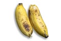 Two bananas are isolated on a white background. overhead view Royalty Free Stock Photo