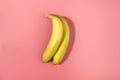 Two bananas on a pink background