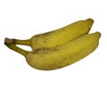 Two bananas on white background - Easy to cut