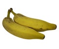 Two bananas on white background - Easy to cut